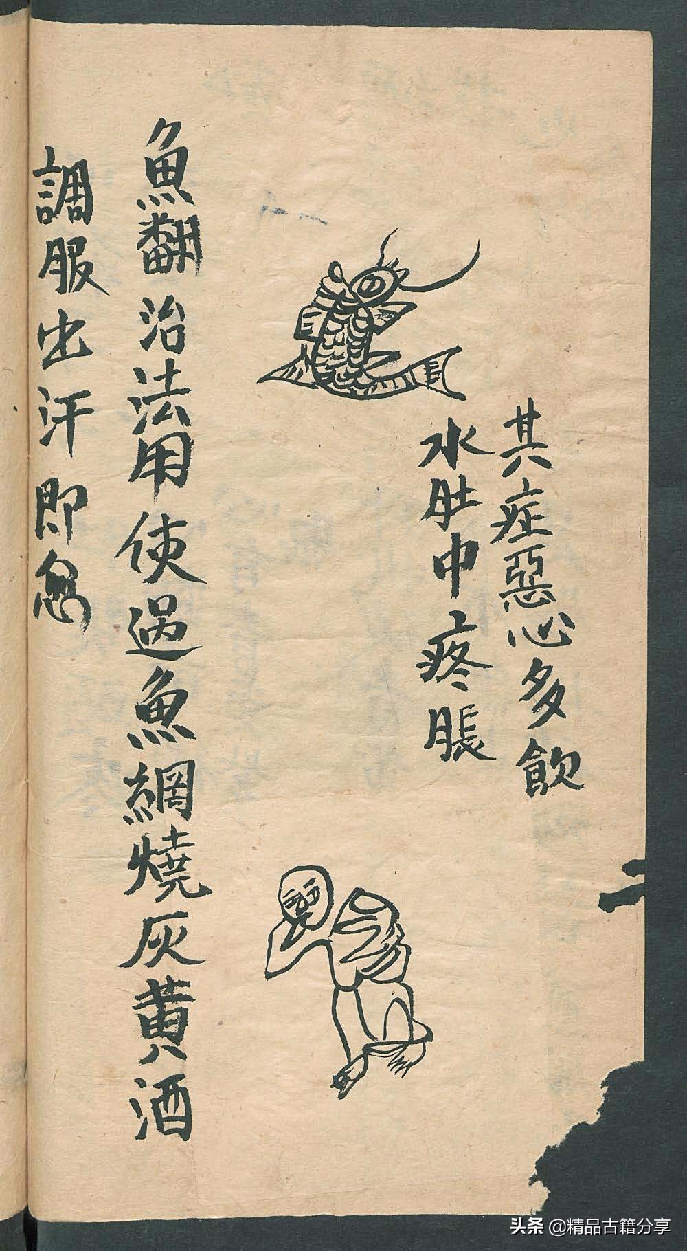 民间中医古籍书籍大全,民间看病书