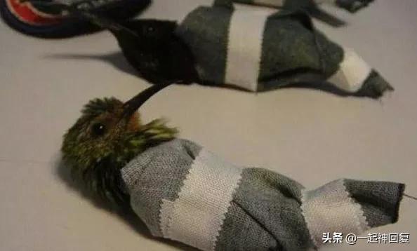 从体内取出17cm的异物，到底有多累