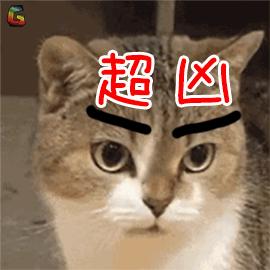 skii实体店鉴别,skii官网旗舰店防伪怎么查