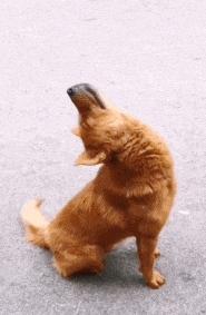 搞笑gif这又是什么新套路,搞笑gif这就有点过分了