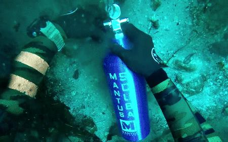 本以为是个恶心的臭水塘，没想到水下居然美到炸裂