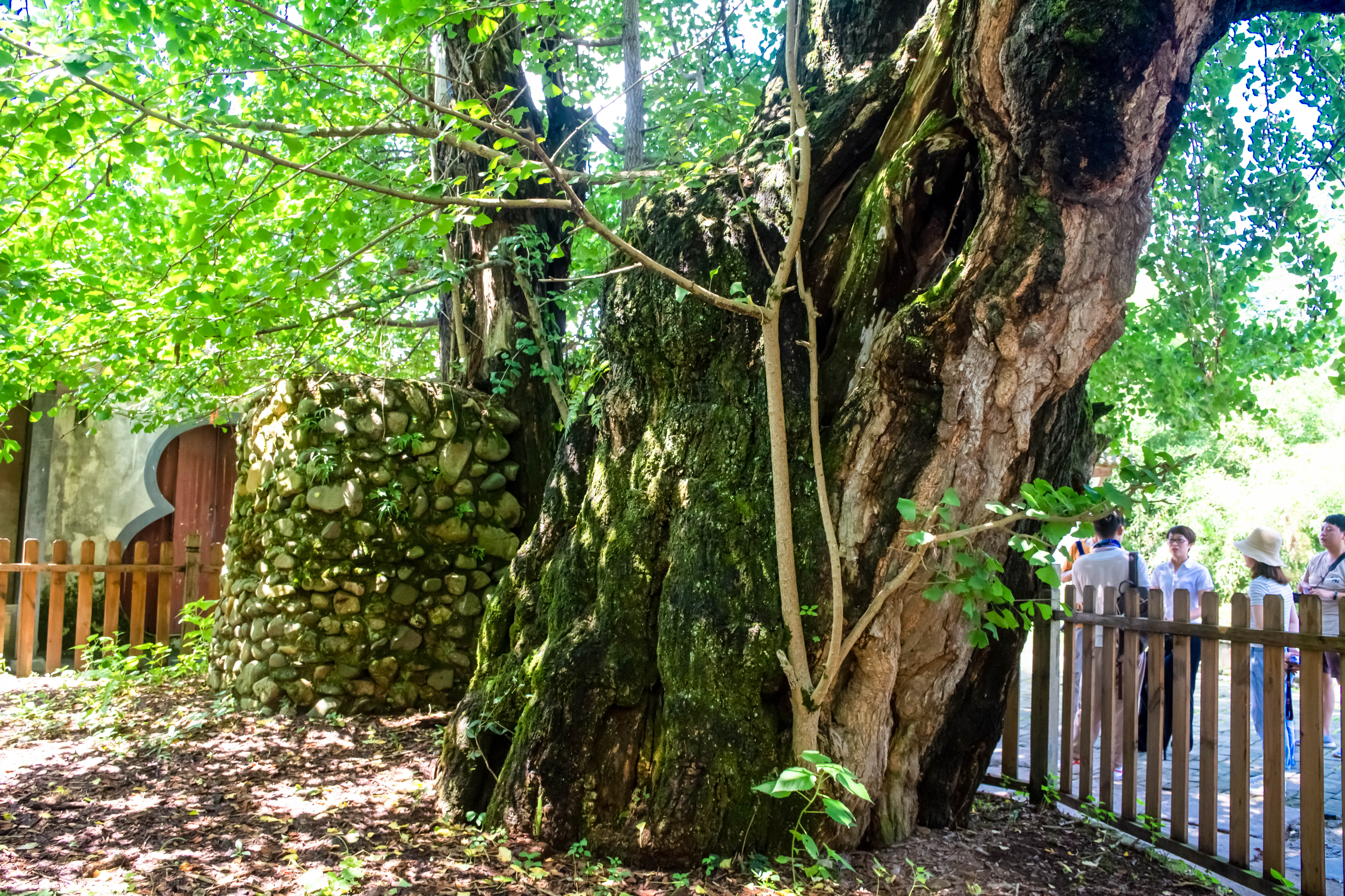 千年古村落唐模村,千年古村唐模