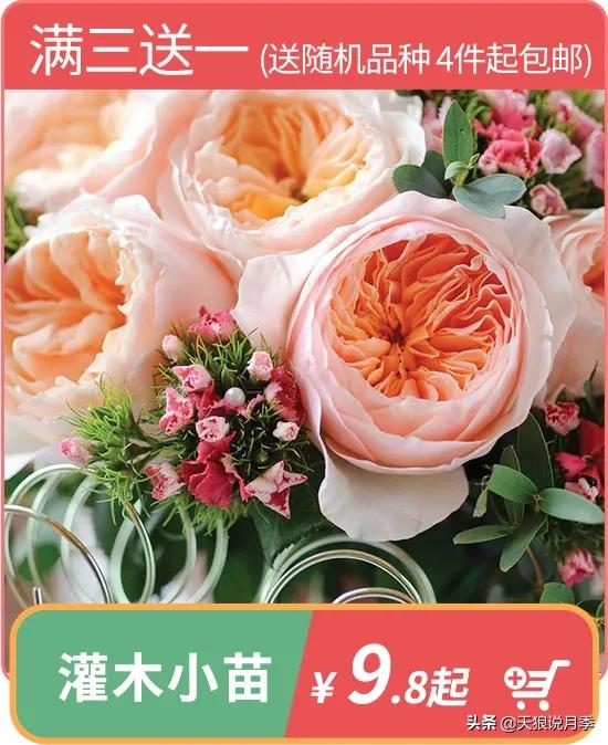 开新店买一送一活动,新店开业搞什么活动买十送十