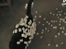 头发不起静电的办法,头发炸毛防静电