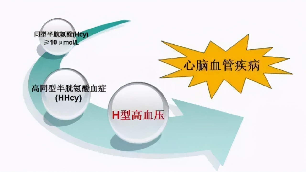 高血压的老年人补充哪种叶酸片好,高血压补充叶酸用哪种叶酸好