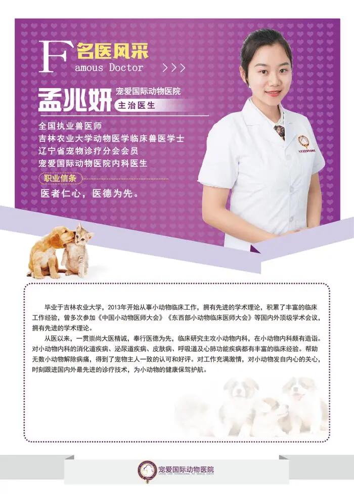 当猫咪遇见病痛,当猫咪突发心脏病如何急救