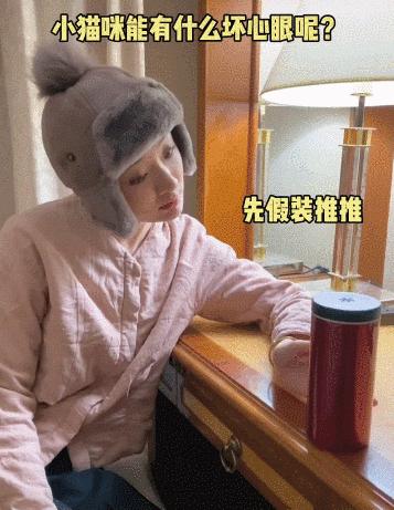 猫咪没坏心眼视频,猫咪没有坏心思在线阅读