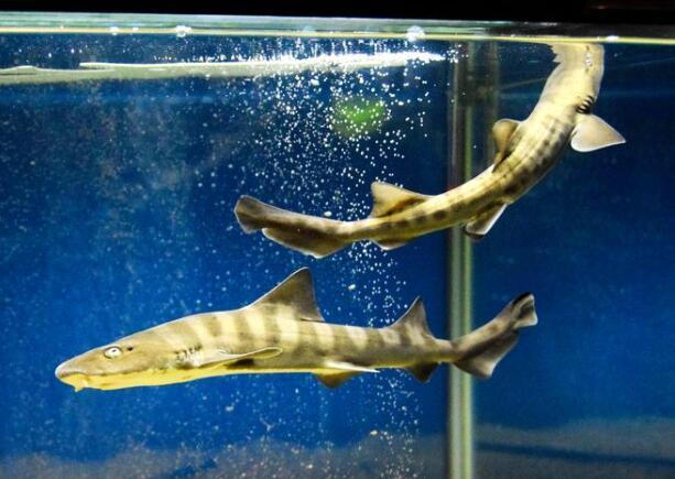 孩子是谁的不知道,孩子是谁的都没查出来