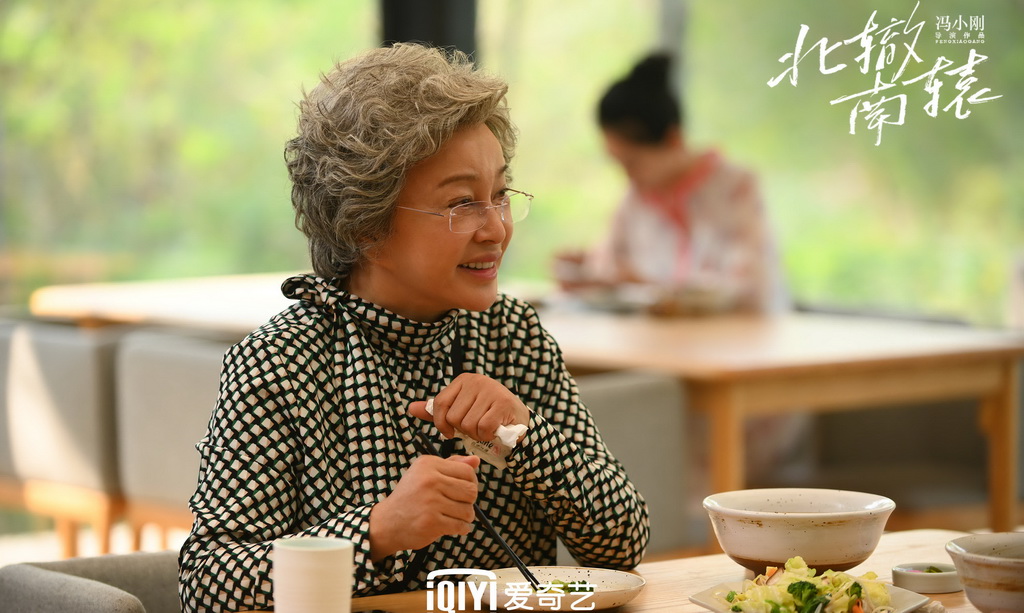 北辙南辕网剧,电视剧北辙南辕在哪播出