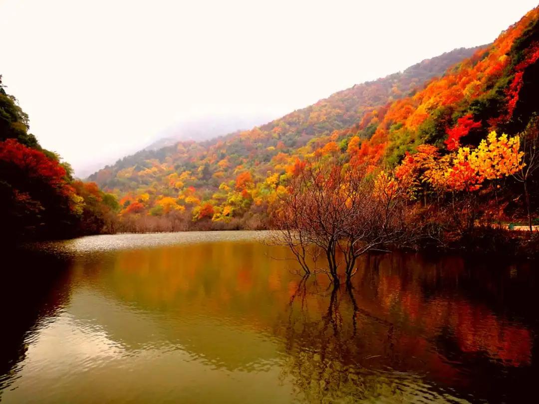 国庆运城游玩攻略,国庆运城旅游攻略