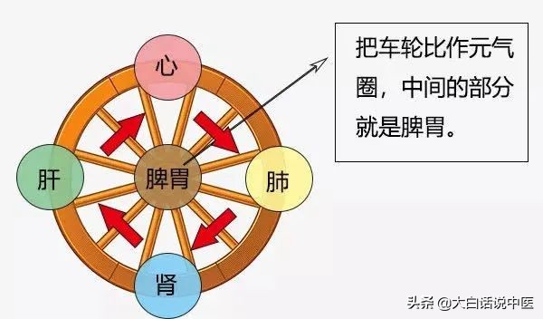 大白话说中医第二十三期｜老年痴呆不用怕，早早预防躲开它