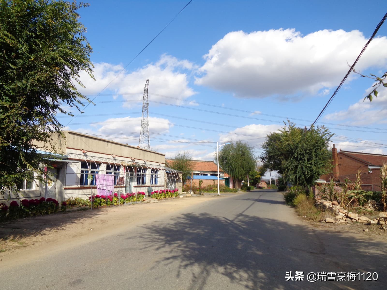 沈北新区依路村,沈北新区马刚乡地图