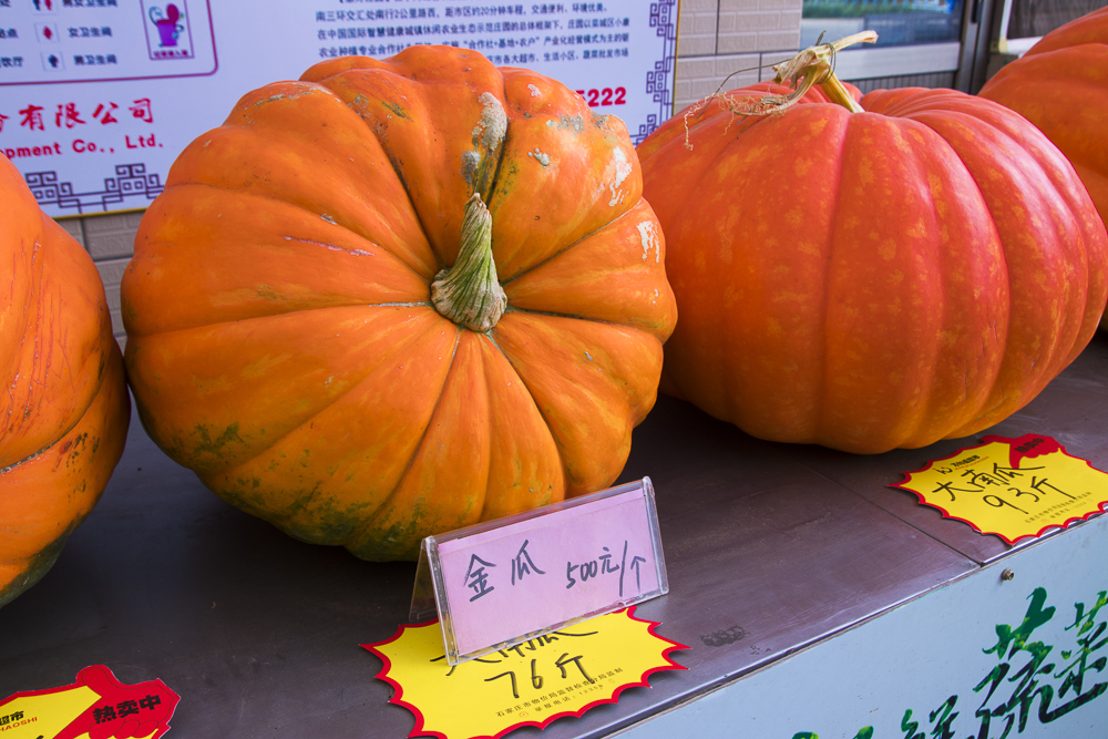 #毕业旅行啦#石家庄慧灯庄园，夏日里寓教于乐爽歪歪