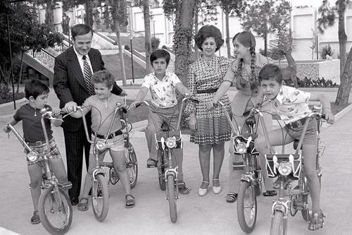 阿萨德家族与叙利亚,阿萨德家族是独裁者吗