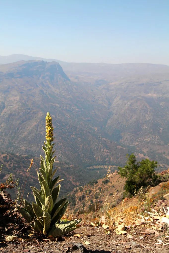宅家封印解除,漫长的宅家封印解除