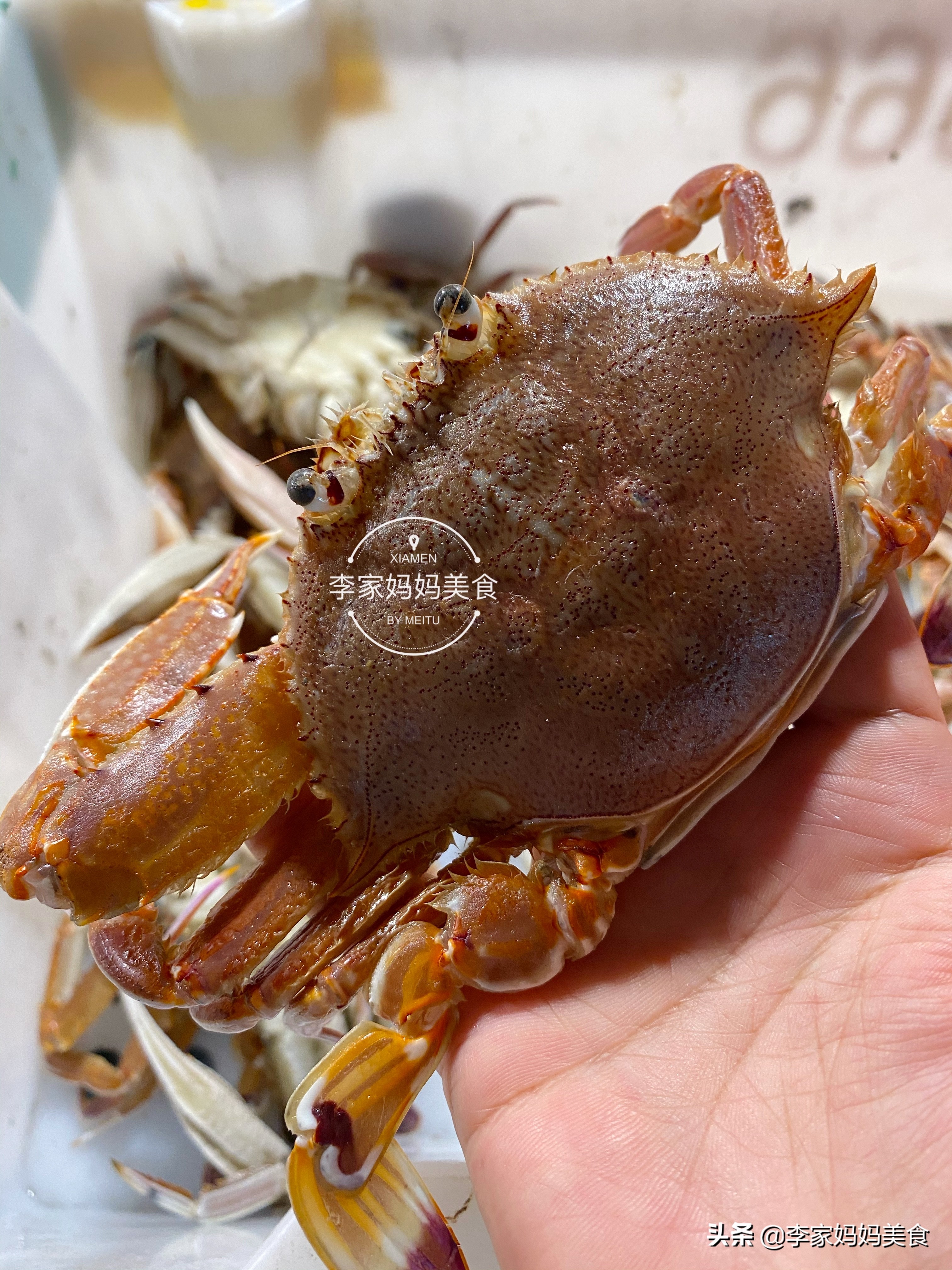 沿海特色海鲜,沿海海鲜推荐