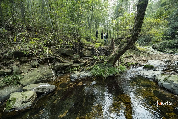 周末自驾游安徽郎溪,门票只花了30块,其它都是原生态秘境