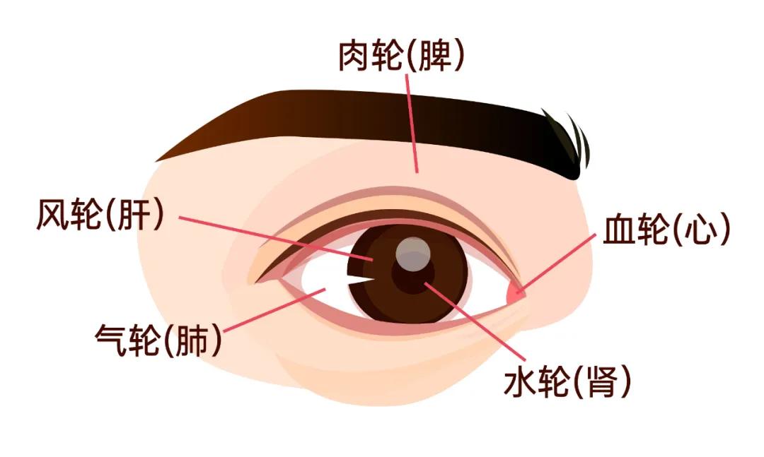 左眼跳财右眼跳灾的真实原因,迷信说左眼皮和右眼跳是什么原因