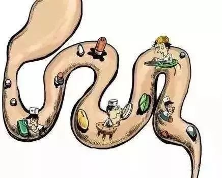 疫情蔓延，免疫力提高是关键！益生菌的秘密你应该要记住