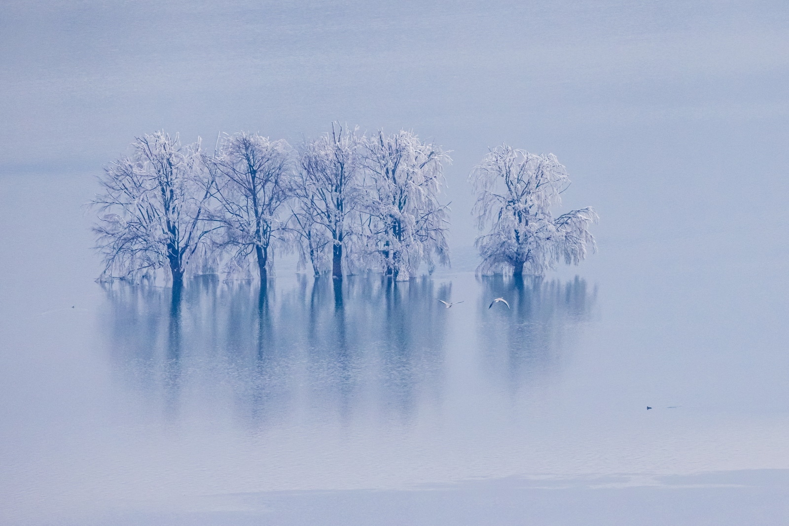如何用eosr5拍摄视频,eosr5摄影