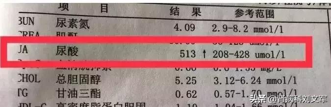 高尿酸血症用药指南,高尿酸患者在饮食上应注意些什么