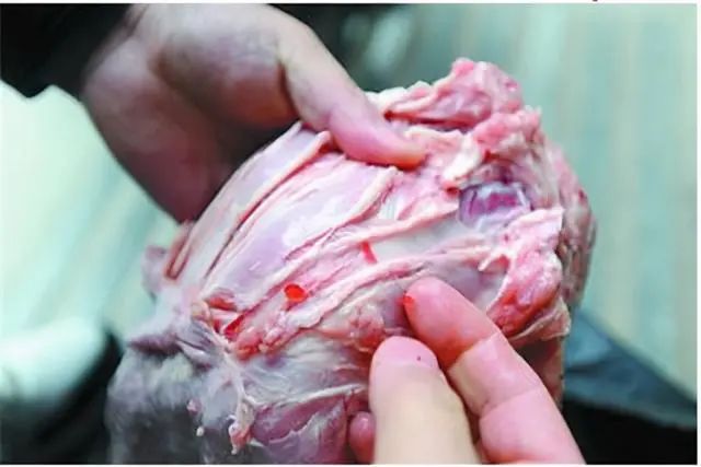 注胶肉是什么时候注进去的,注胶肉已泛滥这五种肉别再吃