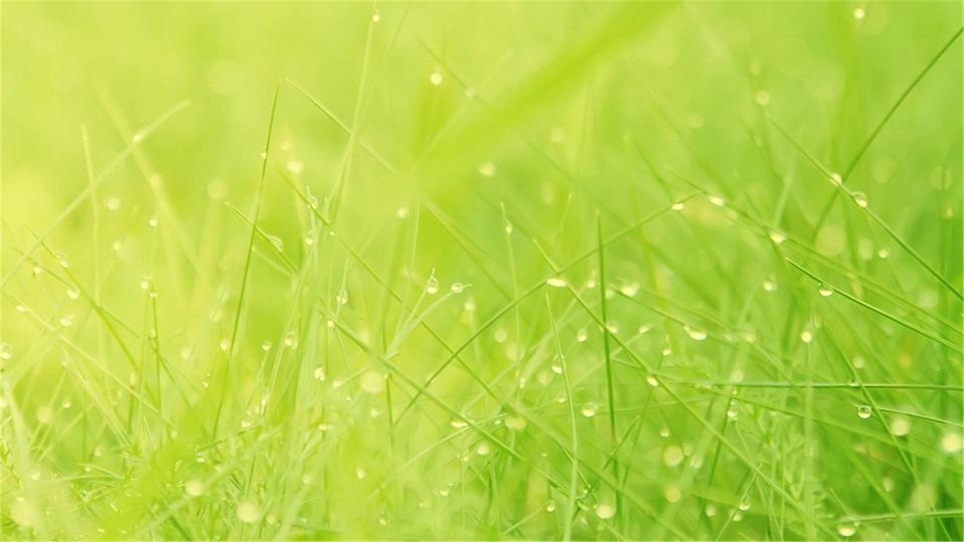 蓝色护眼壁纸唯美图片,最美的护眼桌面壁纸