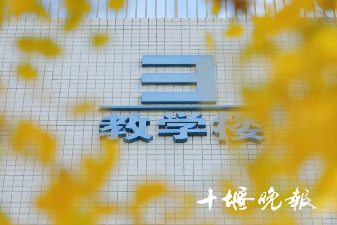 十堰银杏风景区在哪里,十堰银杏景点