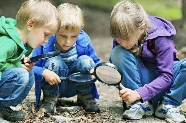 春日自然教育,春日茶语正能量