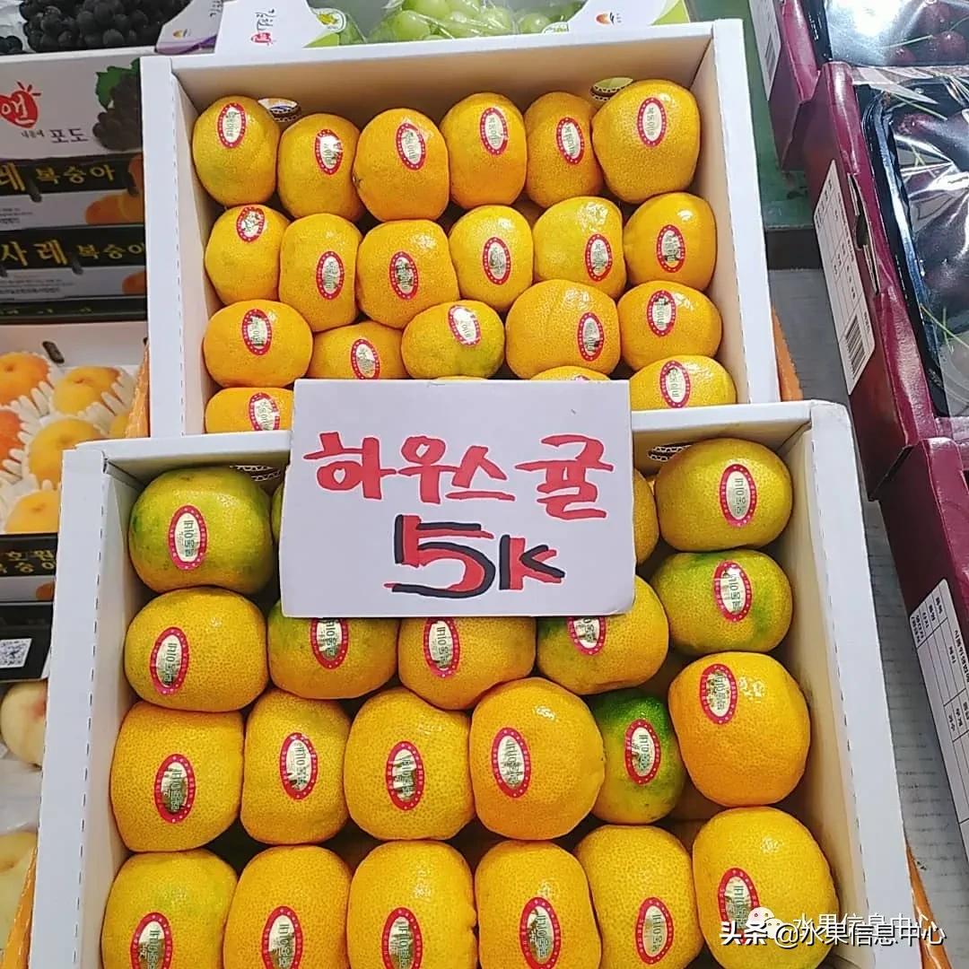 韩国水果批发市场进货渠道,韩国首尔最大的水果批发市场