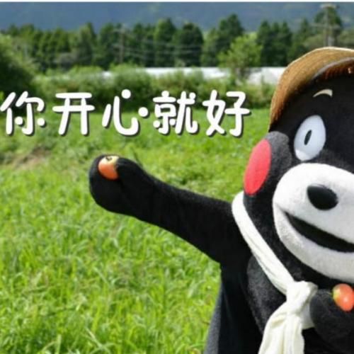 揭秘日本代购的内幕,日本代购行业的内幕