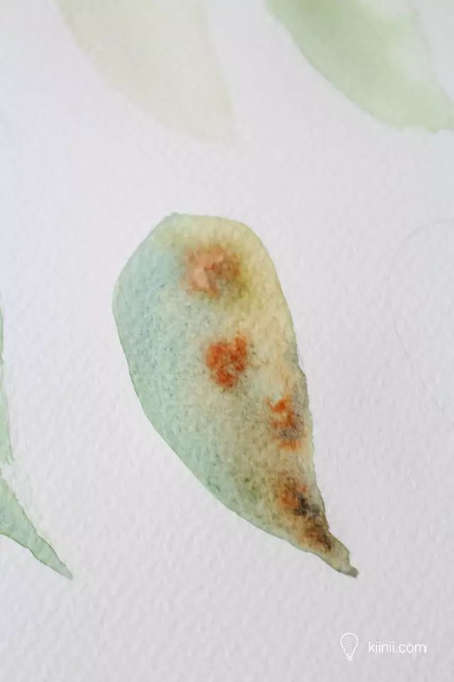 水彩写实草丛画法简单,秋叶彩绘技巧