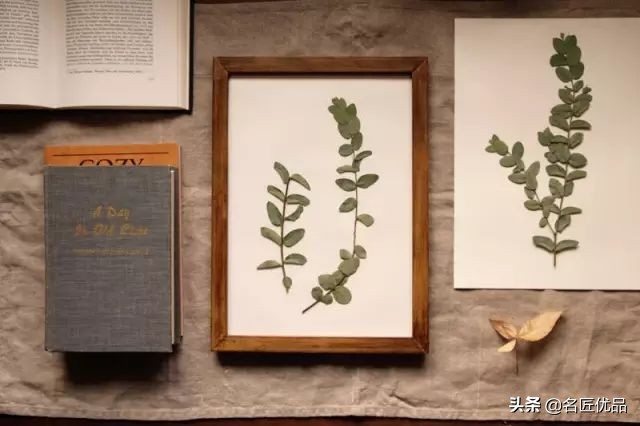 手工课堂：手把手教你做干花标本，比花钱买来的画好看十倍