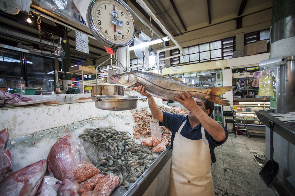 EATWILDLYINMEXICOCITY墨西哥城：食在野（二）