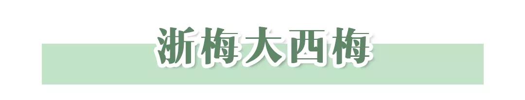 回购率高的10种美食,回购率超高的10款小零食