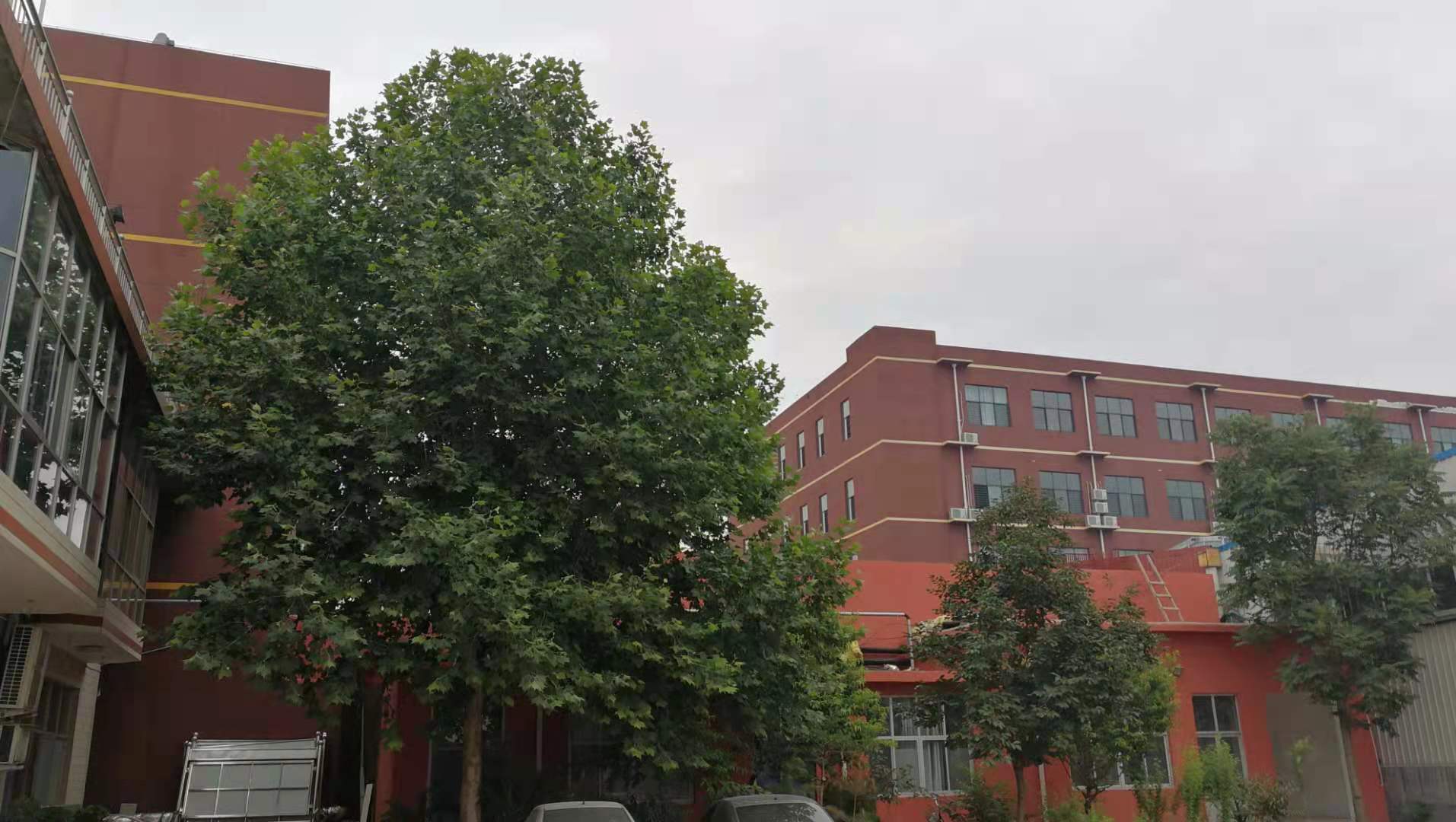 白求恩医院和卫校医院,白求恩医学院属于3+2学校吗