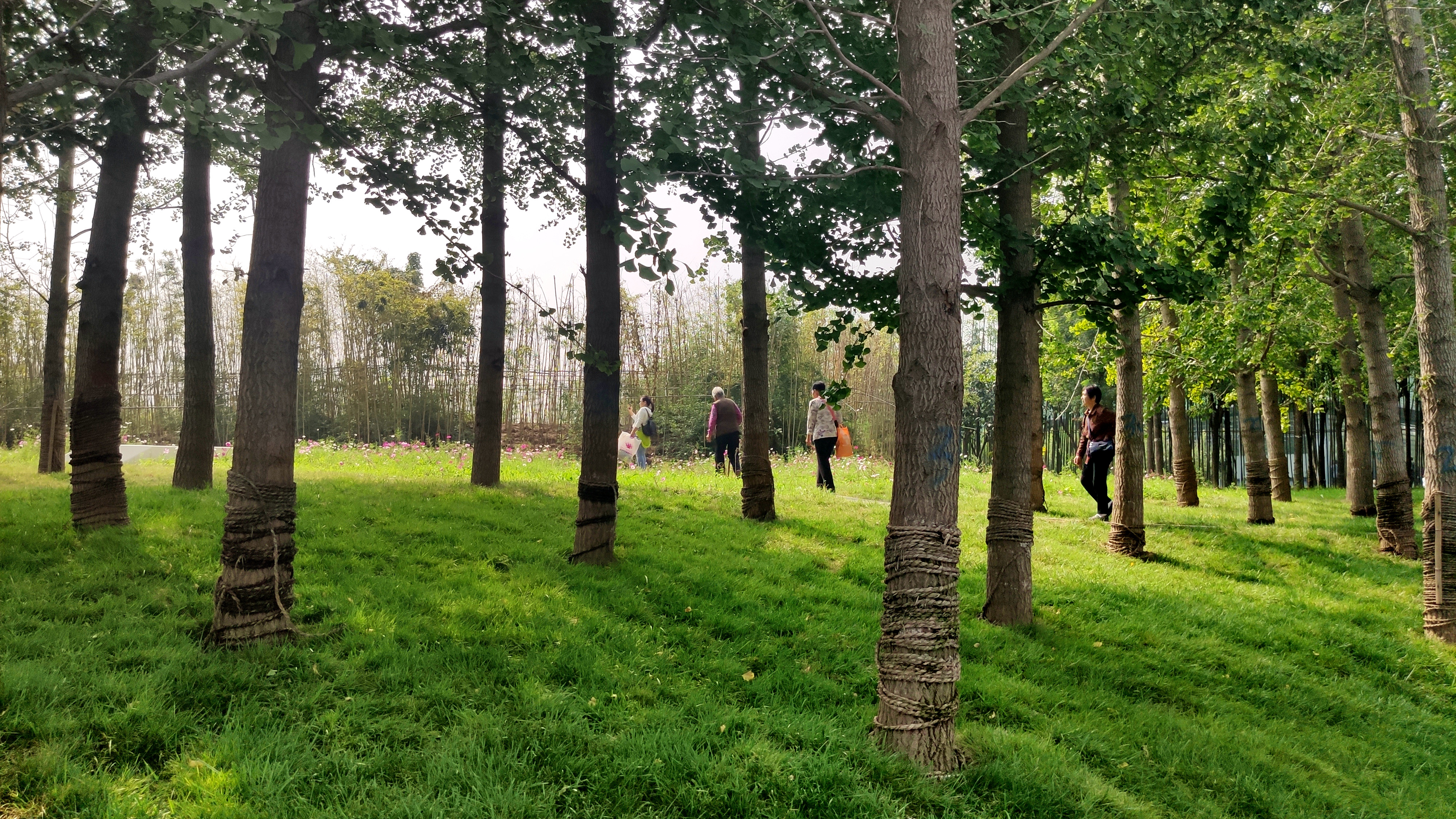 家门口的生态公园，西安最大的城市生态公园开园了