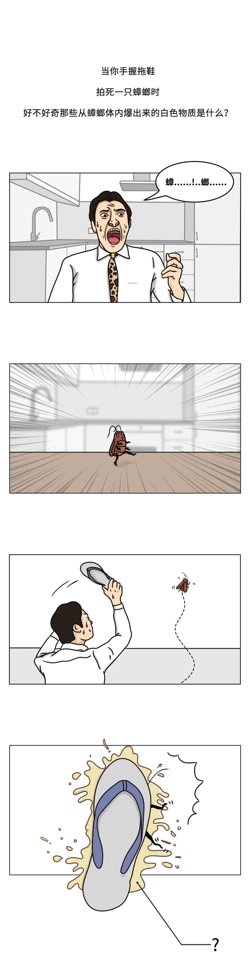 当你踩到蟑螂,蟑螂喷出来的透明液体是什么来的