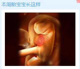 怀孕5周征兆,怀孕5天最明显的征兆