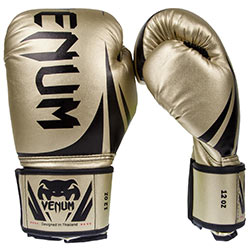 世界拳击排名前十名,世界拳击运动品牌