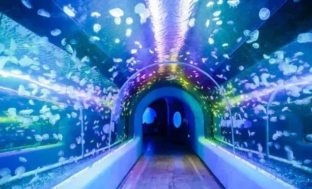 深圳暑假值得带孩子旅游的地方,深圳十大暑假室内必去景点