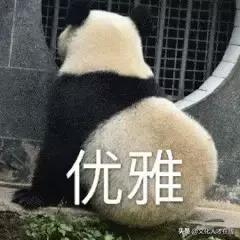 遛狗师年薪30万？剥虾师、收纳师……现在年轻人赚钱路子太野