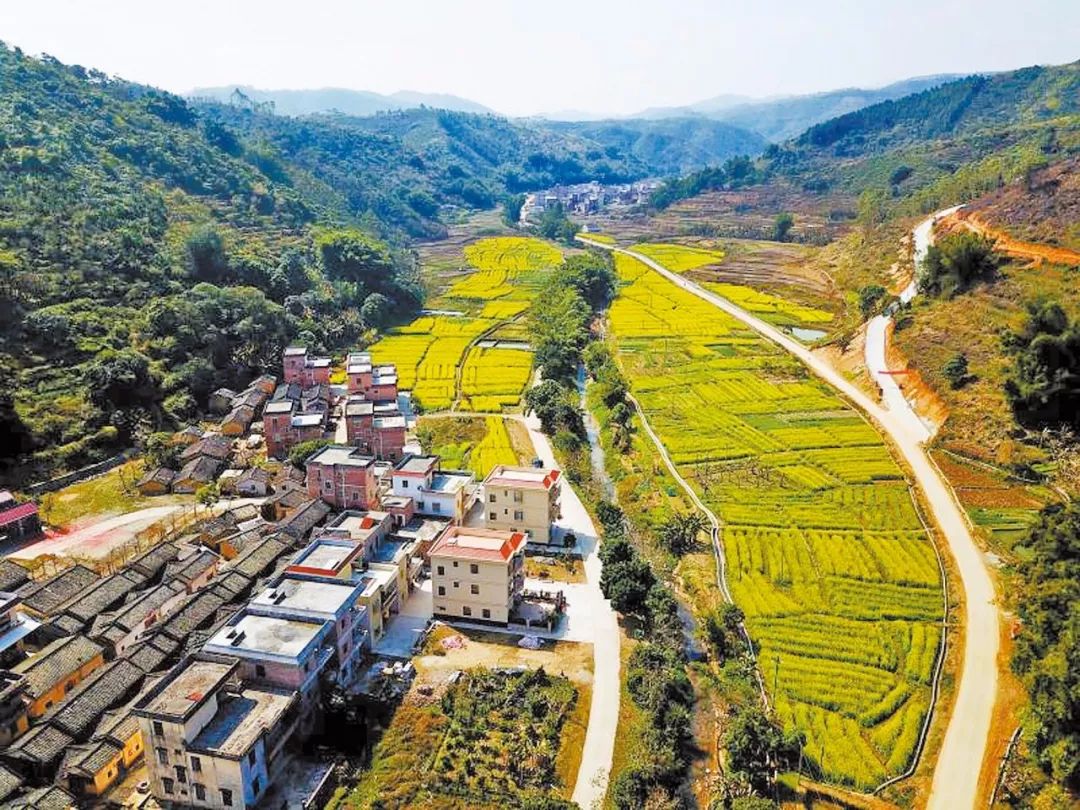 我们豪迈⑤|云城区：沿着高质量发展之路阔步前行