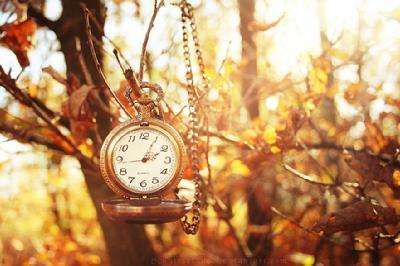 一叶障目一念菩提,一叶障目一念惑心