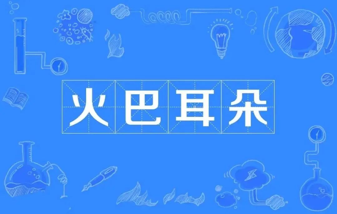成都女人为何幸福指数高,成都女人为什么地位高