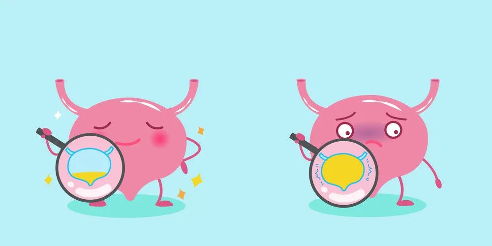 憋尿太久膀胱会不会破,得膀胱过度症憋尿能憋多久