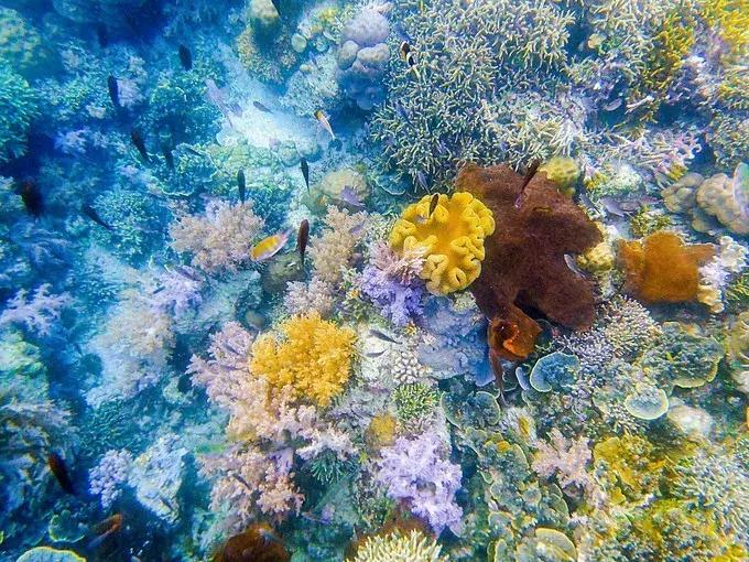 美娜多直飞中国哪里,美娜多到广州航班