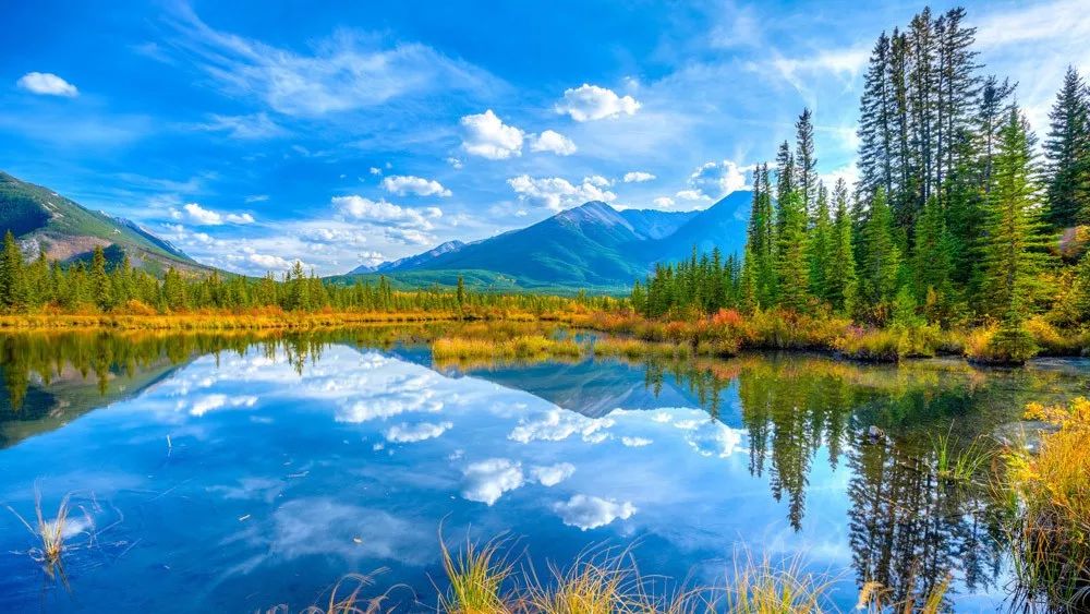 纵横视点——九大营销方式玩转旅游