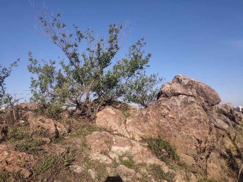 老虎山的传说,老虎山故事