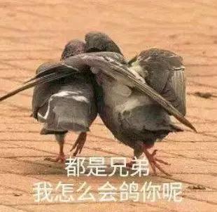 长痔疮怎么办最快的止痔方法,有痔青年怎么治